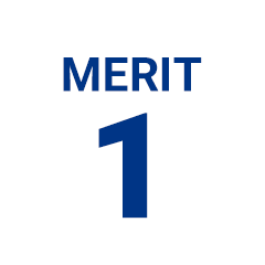 merit1